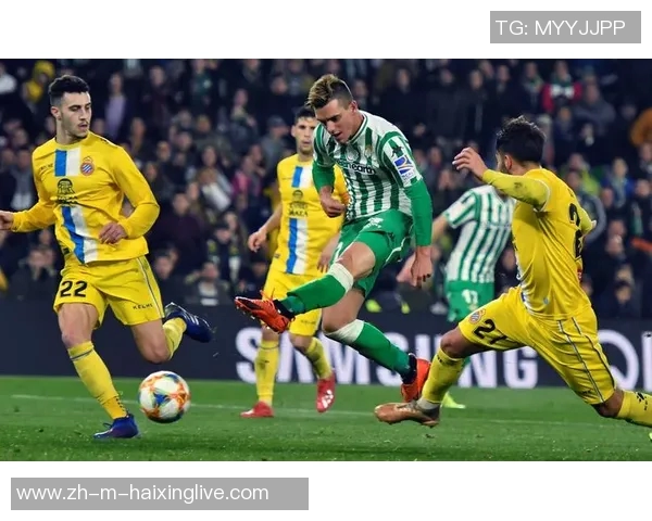 2017年多特蒙德对阵皇家马德里的精彩对决回顾与分析